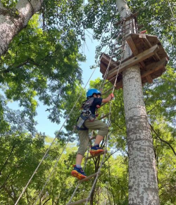 树林挑战游戏怎么玩,掌握核心规则,体验户外乐趣 树林挑战游戏怎么玩,掌握核心规则,体验户外乐趣