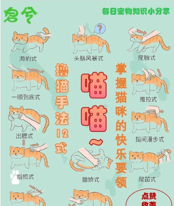 大黄小猫游戏攻略,新手入门技巧,快速上手方法 大黄小猫游戏攻略,新手入门技巧,快速上手方法