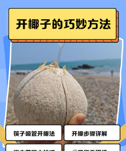 椰子大象游戏攻略,掌握核心技巧,轻松通关拿高分 椰子大象游戏攻略,掌握核心技巧,轻松通关拿高分