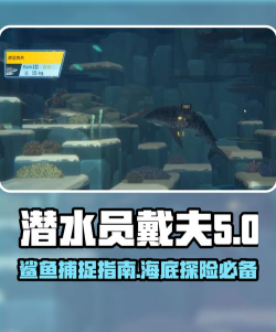 鲨鱼仔游戏攻略,快速上手技巧,轻松通关秘籍 鲨鱼仔游戏攻略,快速上手技巧,轻松通关秘籍