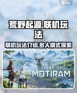 荒野起源能联机吗 荒野起源能联机吗