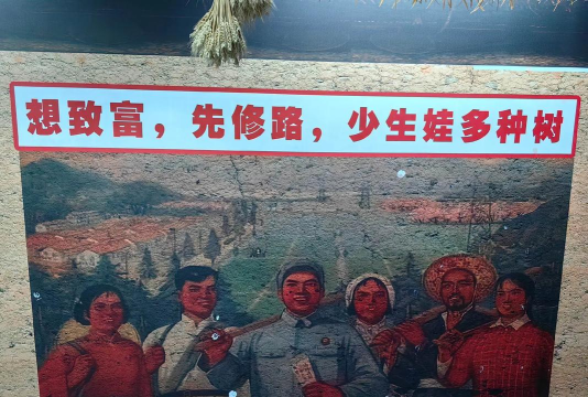 解忧小村落种树发家致富 解忧小村落种树发家致富