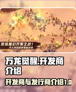 万龙觉醒开发商是谁 万龙觉醒开发商是谁