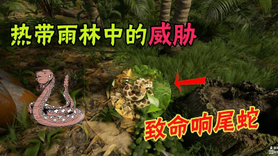 绿色地狱闪退怎么办 绿色地狱闪退怎么办
