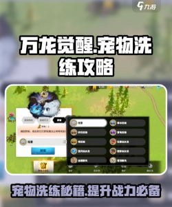 万龙觉醒前期宠物推荐 万龙觉醒前期宠物推荐
