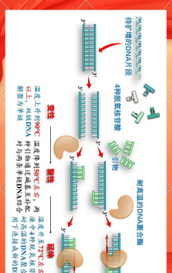 变种基因怎么不卡 变种基因要使用加速器吗 变种基因怎么不卡 变种基因要使用加速器吗