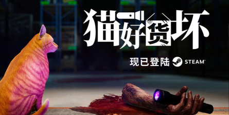 猫好货坏注册地址在哪 猫好货坏注册地址在哪