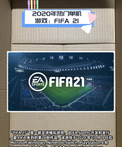 FIFA21闪退怎么办 FIFA21闪退怎么办