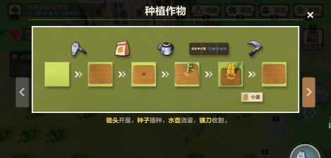 星布谷地是强社交游戏类型吗 星布谷地是强社交游戏类型吗