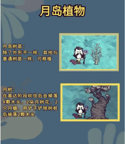 珍珠海大冒险餐桌没位置怎么弄 珍珠海大冒险餐桌没位置怎么弄