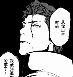 境界刀鸣蓝染是什么系的 境界刀鸣蓝染是什么系的