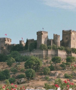 权力的游戏游戏攻略 权力的游戏游戏攻略