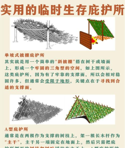 庇护所游戏攻略 庇护所游戏攻略