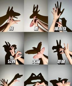 手影游戏怎么玩 手影游戏怎么玩