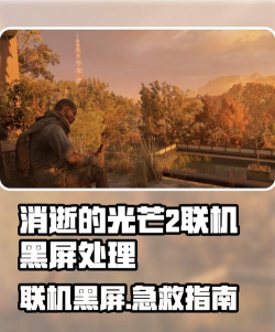 消逝的光芒2联机进不去怎么解决 消逝的光芒2联机进不去怎么解决