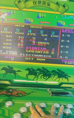 类似街机赛马单机游戏有哪些 2026热门的赛马手游下载盘点 类似街机赛马单机游戏有哪些 2026热门的赛马手游下载盘点