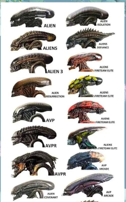 异形游戏攻略 异形游戏攻略