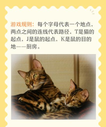 猫和老鼠益智游戏攻略 猫和老鼠益智游戏攻略
