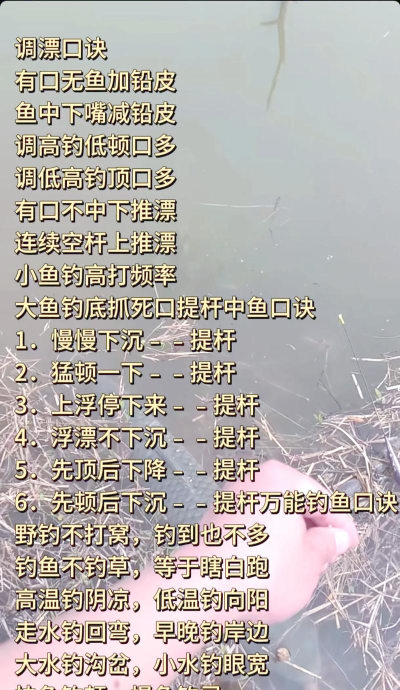 姜子牙垂钓游戏怎么玩,掌握核心技巧,轻松钓上大鱼 姜子牙垂钓游戏怎么玩,掌握核心技巧,轻松钓上大鱼