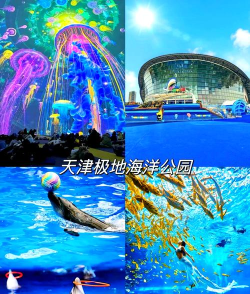 天津滨海游戏攻略,畅玩热门景点,解锁隐藏玩法 天津滨海游戏攻略,畅玩热门景点,解锁隐藏玩法