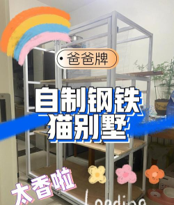 爸爸乐园游戏攻略,轻松上手技巧,解锁隐藏玩法 爸爸乐园游戏攻略,轻松上手技巧,解锁隐藏玩法