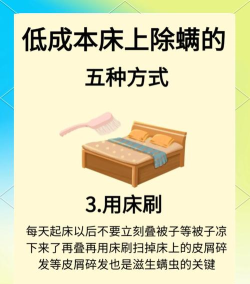 消灭螨虫游戏,轻松上手攻略,掌握技巧快速通关 消灭螨虫游戏,轻松上手攻略,掌握技巧快速通关