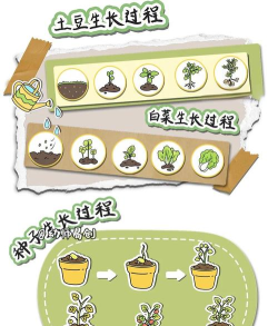 罗马种菜游戏怎么玩,新手入门指南,快速掌握核心玩法 罗马种菜游戏怎么玩,新手入门指南,快速掌握核心玩法