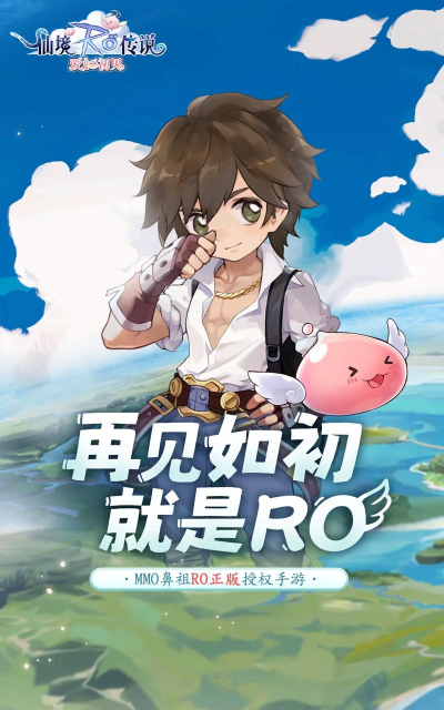 ro手游 坚硬外皮,防御属性解析,实战应用指南 ro手游 坚硬外皮,防御属性解析,实战应用指南