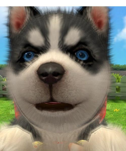 魔法狗是什么游戏,探索奇幻世界,体验独特玩法 魔法狗是什么游戏,探索奇幻世界,体验独特玩法