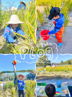 种水稻的游戏,体验田园生活,感受农耕乐趣 种水稻的游戏,体验田园生活,感受农耕乐趣