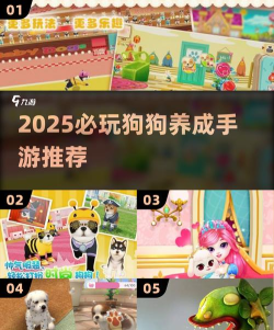 小狗玩什么游戏好,互动游戏推荐,益智游戏选择 小狗玩什么游戏好,互动游戏推荐,益智游戏选择