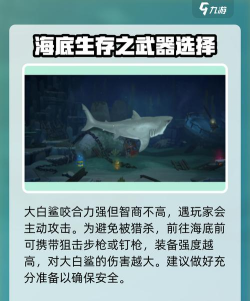 吃鲨鱼是什么游戏,玩法规则详解,趣味挑战体验 吃鲨鱼是什么游戏,玩法规则详解,趣味挑战体验