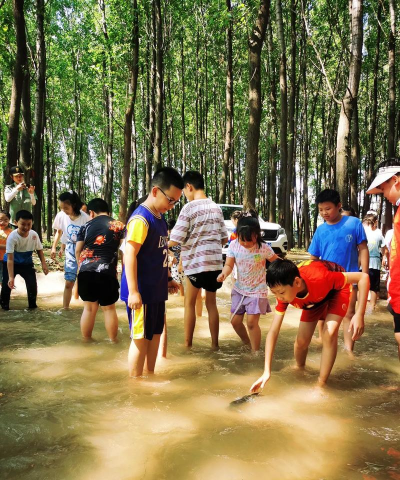 清水摸鱼游戏怎么玩,掌握核心技巧,轻松成为摸鱼高手 清水摸鱼游戏怎么玩,掌握核心技巧,轻松成为摸鱼高手