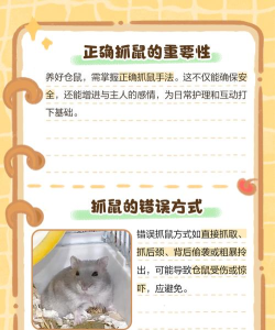 仓鼠小偷游戏攻略,掌握核心技巧,轻松通关拿高分 仓鼠小偷游戏攻略,掌握核心技巧,轻松通关拿高分