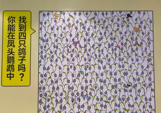 游戏 砍价找茬怎么玩,掌握核心技巧,轻松成为找茬达人 游戏 砍价找茬怎么玩,掌握核心技巧,轻松成为找茬达人