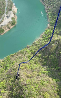 悬崖跳树枝什么游戏,玩法简单,上手容易 悬崖跳树枝什么游戏,玩法简单,上手容易