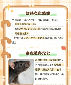 尖叫老鼠游戏攻略,掌握核心技巧,轻松通关无压力 尖叫老鼠游戏攻略,掌握核心技巧,轻松通关无压力