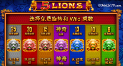 雄狮战机游戏攻略,快速上手技巧,实战通关秘籍 雄狮战机游戏攻略,快速上手技巧,实战通关秘籍