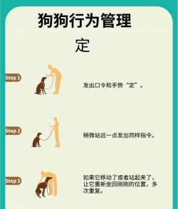 汤姆狗屎游戏怎么玩,搞懂规则,轻松上手 汤姆狗屎游戏怎么玩,搞懂规则,轻松上手