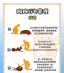 抓狗子是什么游戏,玩法简单,适合多人互动 抓狗子是什么游戏,玩法简单,适合多人互动