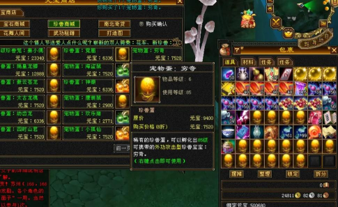 天龙手游13区论坛,玩家聚集地,交流心得与攻略 天龙手游13区论坛,玩家聚集地,交流心得与攻略