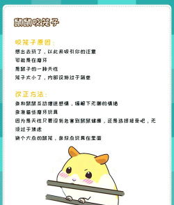 仓鼠真的游戏怎么玩,新手入门指南,轻松上手技巧 仓鼠真的游戏怎么玩,新手入门指南,轻松上手技巧