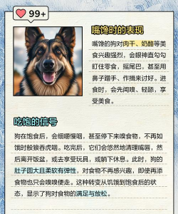 小狗吃食游戏怎么玩,掌握核心玩法,轻松上手体验 小狗吃食游戏怎么玩,掌握核心玩法,轻松上手体验