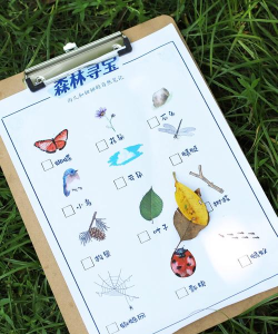 守护森林有什么游戏,推荐几款,体验自然乐趣 守护森林有什么游戏,推荐几款,体验自然乐趣