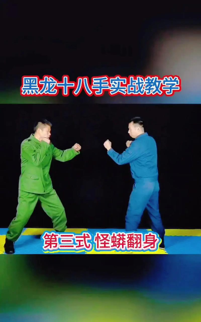 招架技能游戏怎么玩,掌握核心机制,提升实战表现 招架技能游戏怎么玩,掌握核心机制,提升实战表现