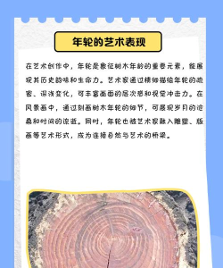 年轮游戏世界攻略,新手快速上手,高手进阶技巧 年轮游戏世界攻略,新手快速上手,高手进阶技巧