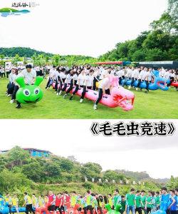 拓展游戏亚马逊怎么玩,掌握核心玩法,体验团队协作 拓展游戏亚马逊怎么玩,掌握核心玩法,体验团队协作