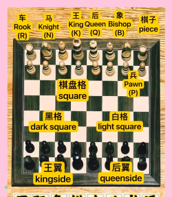 下棋英语游戏攻略,提升英语水平,掌握游戏技巧 下棋英语游戏攻略,提升英语水平,掌握游戏技巧