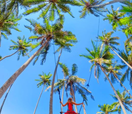 伊甸园沙滩游戏攻略,新手入门指南,快速上手技巧 伊甸园沙滩游戏攻略,新手入门指南,快速上手技巧