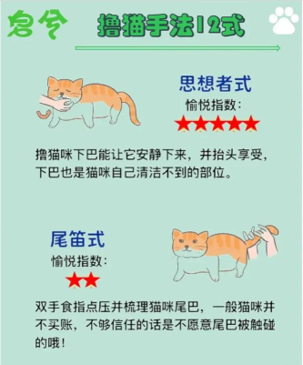 小猫的游戏怎么玩,新手入门指南,轻松上手技巧 小猫的游戏怎么玩,新手入门指南,轻松上手技巧